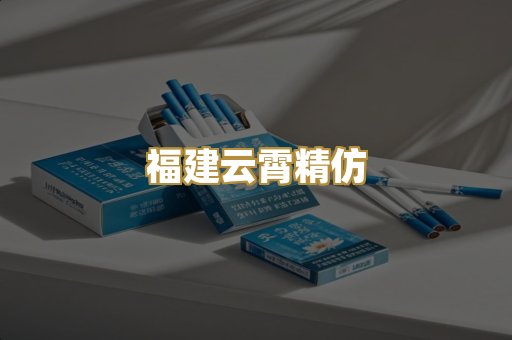 福建云霄精仿